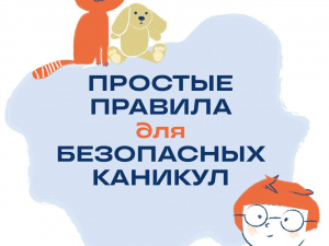 Веселые и безопасные летние каникулы